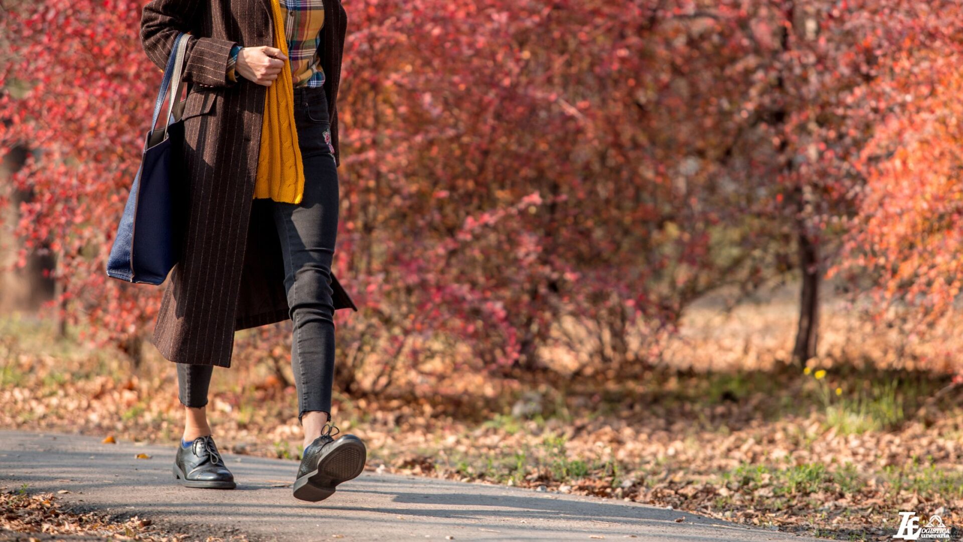 Must have per outfit autunnale 1 | blog banner 2023 08 26T172808.574 Must have per outfit autunnale